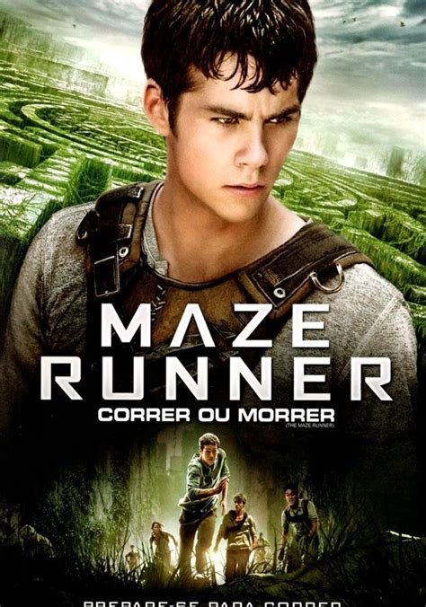 assistir maze runner correr ou morrer|Maze Runner